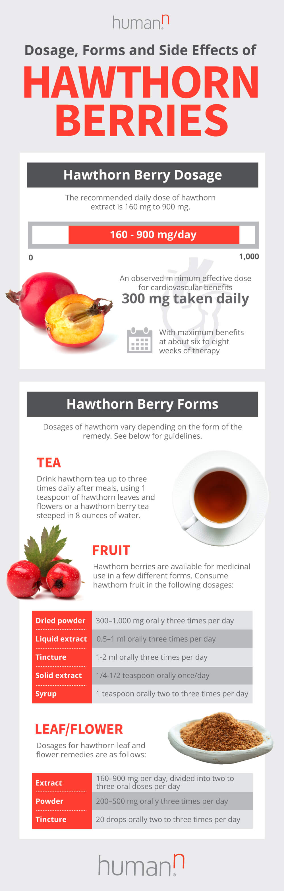 the top 5 hawthorn berry benefits (plus how to use) | humann