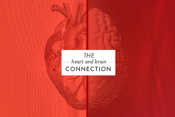 The Connection Between Brain and Heart Health HumanN